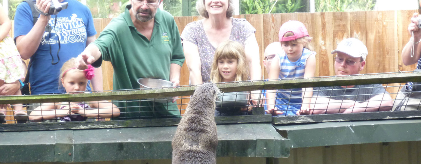 Visitors at the Dartmoor Otter Sanctuary