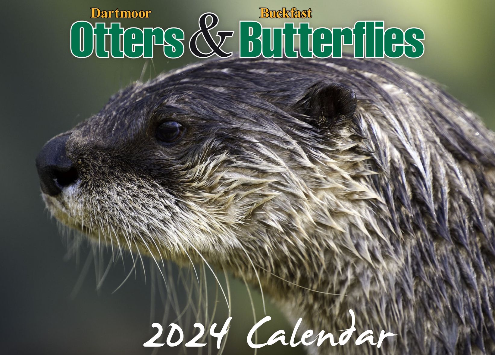 2024 Otter Calendar Otters and Butterflies
