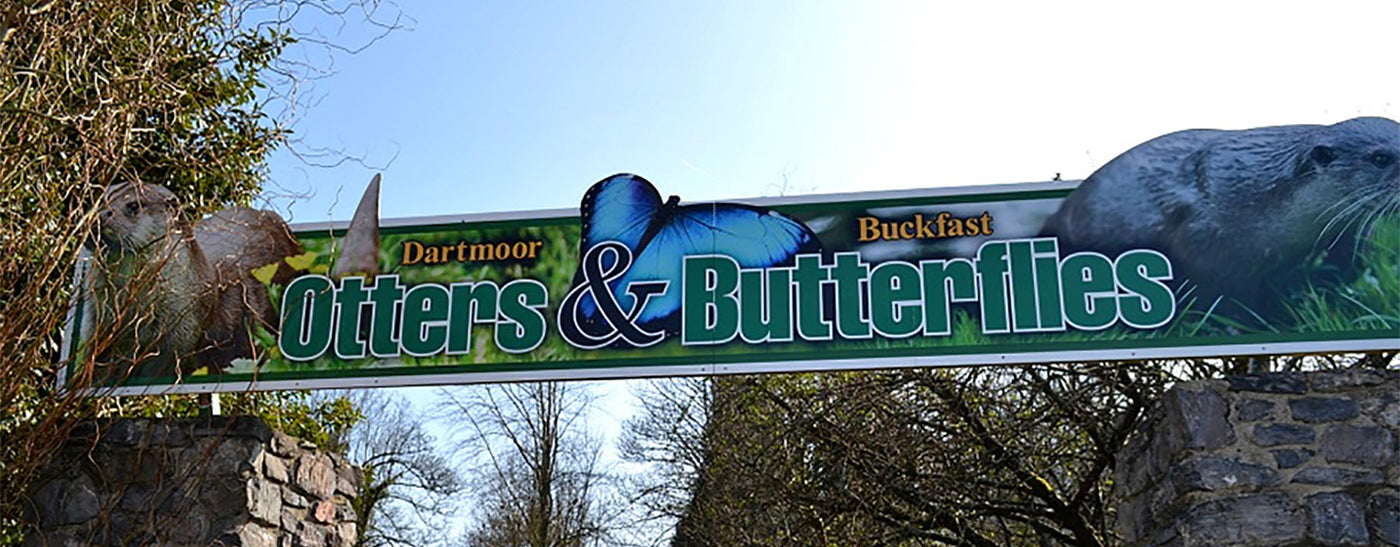 Dartmoor Otters and Buckfast Butterflies